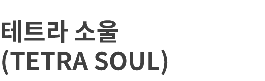 테트라소울 테트라소울